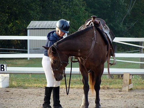 Adrienne at the Alicia Byberg-Landman cow clinic with school horse Max