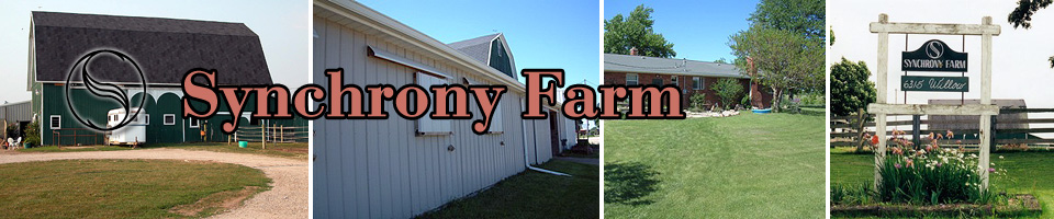 Synchrony Farm: horse lessons, training, and boarding in Saline, MI