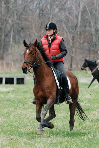Julie and Momo riding cross-country course at Bryan Neubert clinic