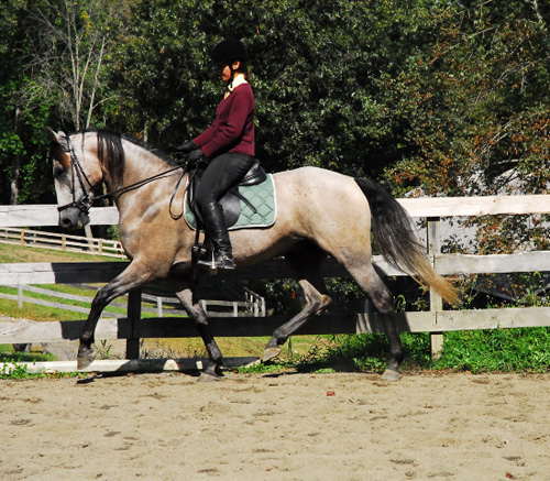 Julie riding Keegan with Bettina Drummond in Connecticut