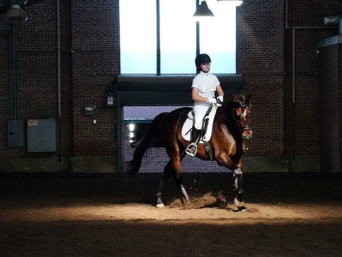 Synchrony Farm student Lucy Fuelle riding William Woods University's'Paul' at a horse show in Springfield, Illinois