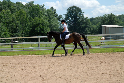 Learn to ride at Synchrony Farm.