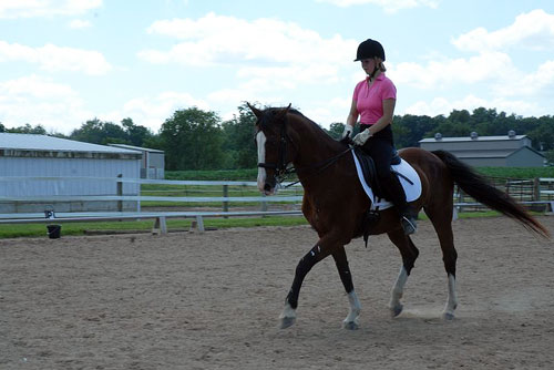 Top-quality riding lessons in Saline Michigan