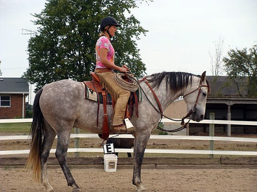 Alicia Byberg-Landman riding Marsha Jessups horse 'Tio'while teaching Cow Working at Synchrony Farm